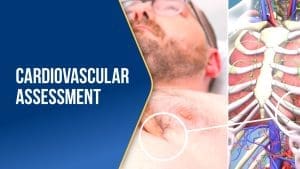 Cardiovascular Assessment