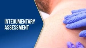Integumentary Assessment
